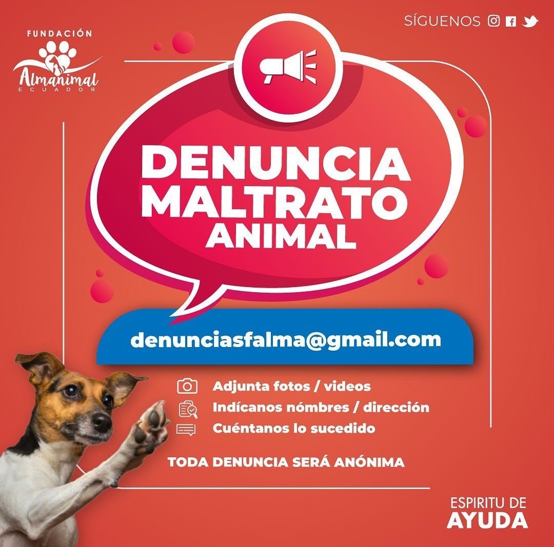 Recuerda que quedarte calladx, es ser cómplice de maltrato.
Si evidencias maltrato animal cerca de tu comunidad, escríbenos: denunciasfalma@gmail.com

#NoAlMaltratoAnimal