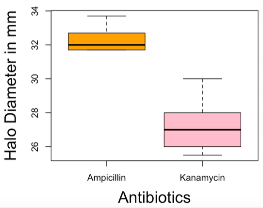 Evidence was found against the research proposal since there was a larger zone of inhibition of ampicillin than kanamycin, seen on the boxplot below. The Shapiro-Wilk Test determined the normality of the data, after which the Rank Sum Test concluded a significant difference![4/6]