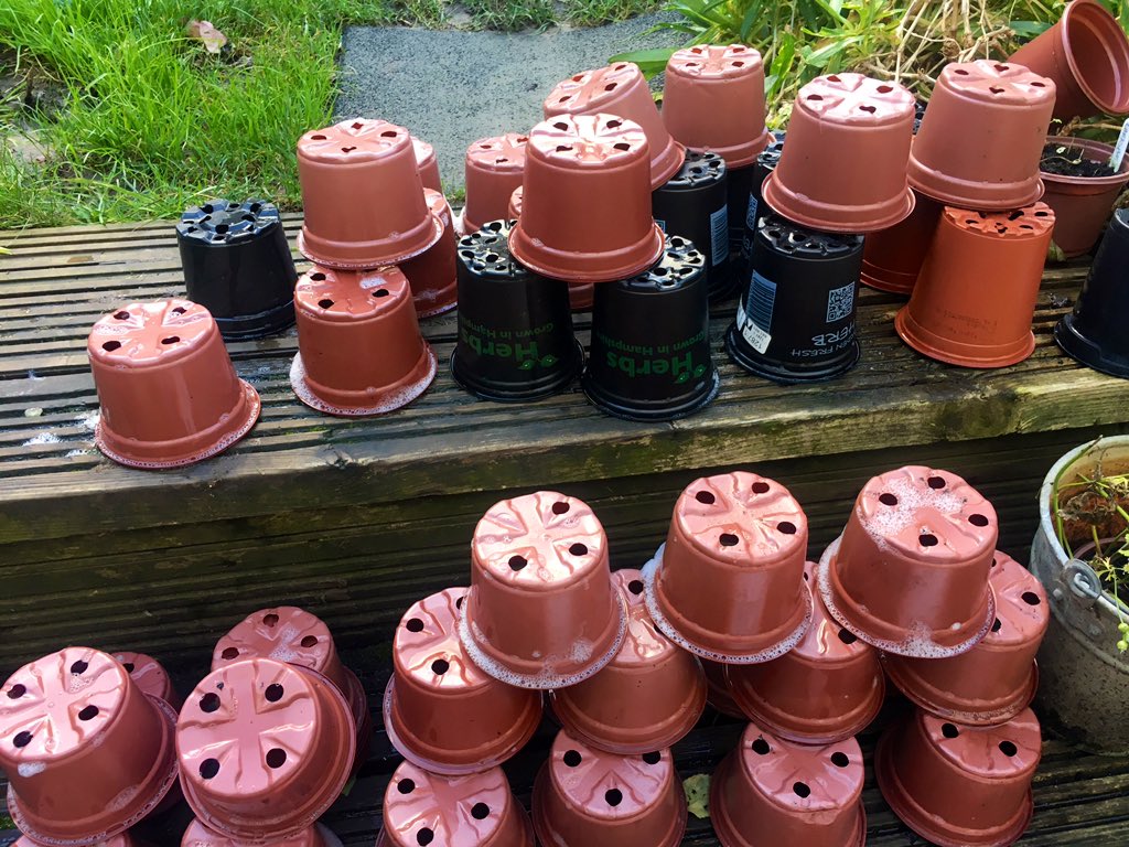 Prepping for spring... Why yes, I have become someone who washes out dozens of pots ready for the next batch of seeds to be sown. 