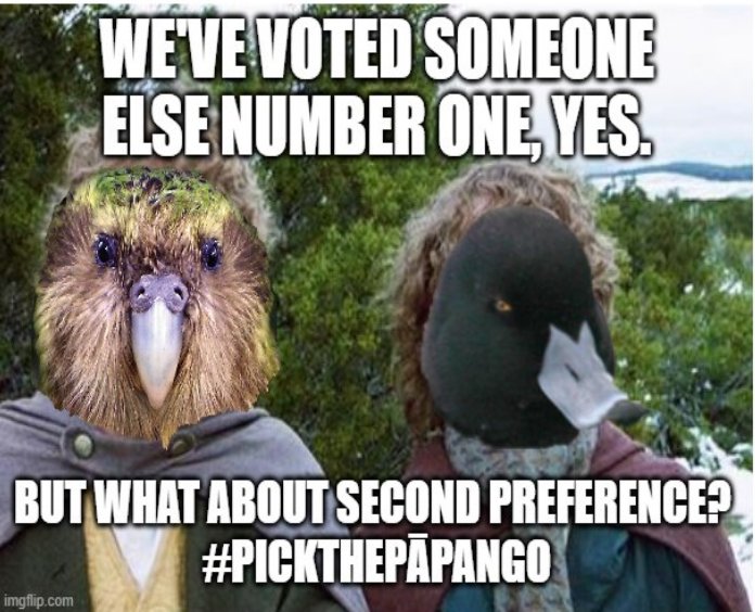 NzScaup's tweet photo. everybody knows that the Kakapo is arguably NZ's most globally famous indigenous bird right @Vote4Whio? Some people are quackers! #exquacksperated #BirdOfTheYear #pickthepāpango #MightyDucks https://t.co/40j3Z3k0Fz