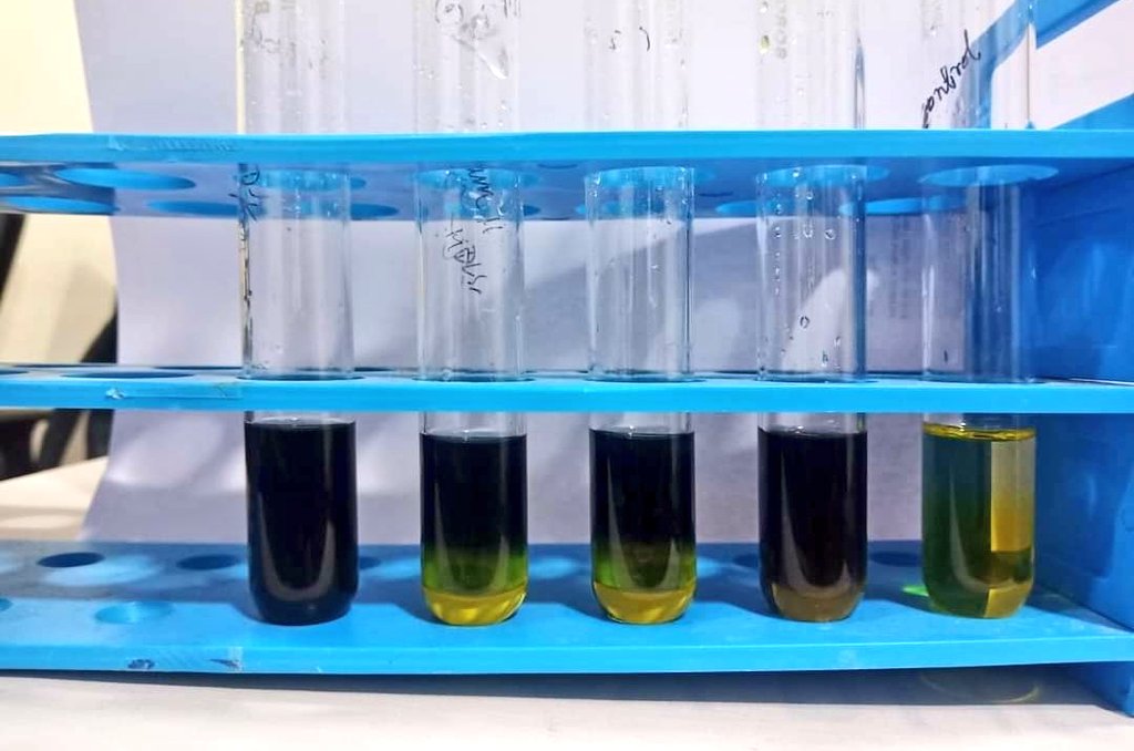 SanjitaPanigra2's tweet image. Diary Microbes.
#labdiaries