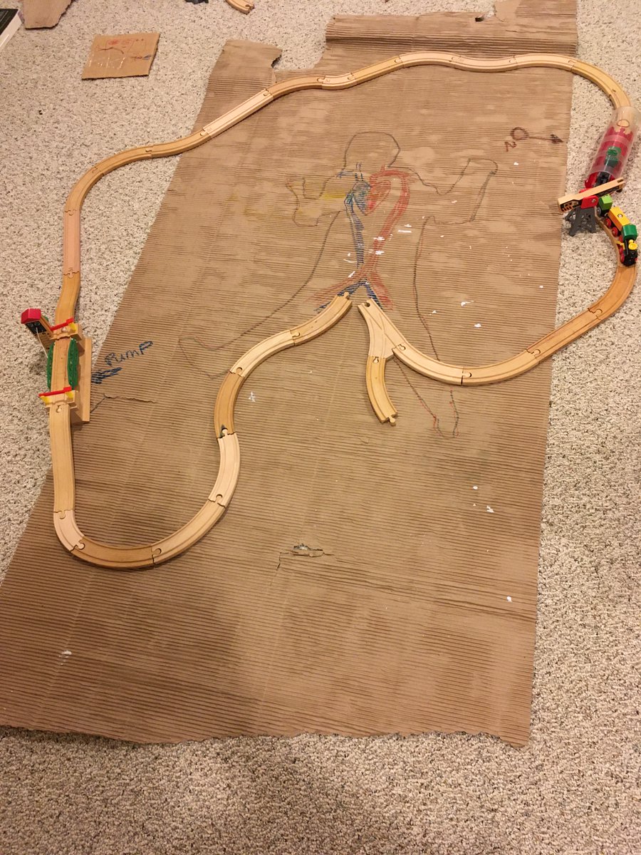 DocUphill's tweet photo. What do you do when you are lucky enough to learn from EM-CCM sage @MiscSusan twice in one week? Spend your day off building Brio train ECMO circuits with your 2 year old! #ECMO>ELMO #homecrit @UVMEmergencyMed @EMRES_MGHBWH @bostonmedflight https://t.co/egAvITAVRe