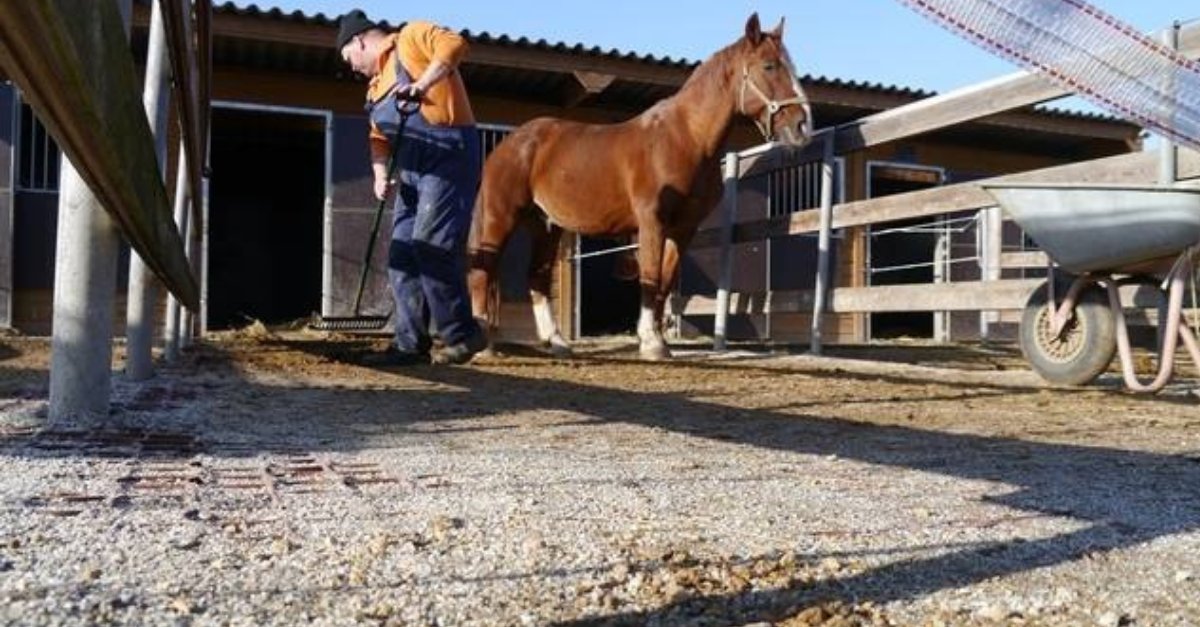 LIDPaving's tweet photo. Keeping your feeding areas and paddocks in shape has never been easier, thanks to #Ecoraster’s eco-conscious designs and seamless installation. 

We help equestrian owners maintain their property, while keeping their horses happy and healthy. 🐴 https://t.co/kh7y2B5q8T