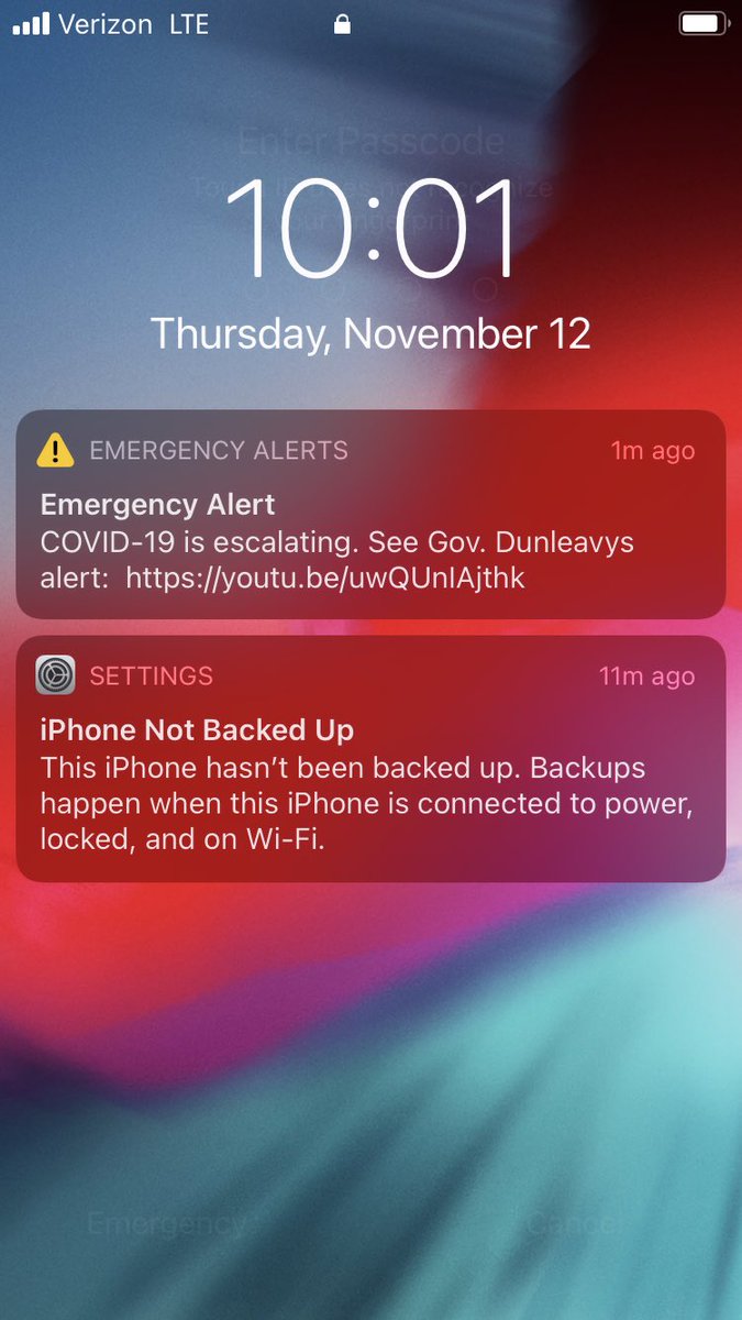 brewbear15's tweet image. Damn, my iPhone isn’t backed up