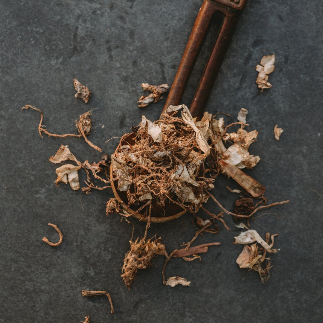 SourceofHealth1's tweet image. Did you grow up with home made muthi? 🌾
Most South Africans can probably recall their grandparents giving out remedies they had made themselves from plants they had on hand. This tradition is almost forgotten in many families. 

What do you remember? 💚🍃