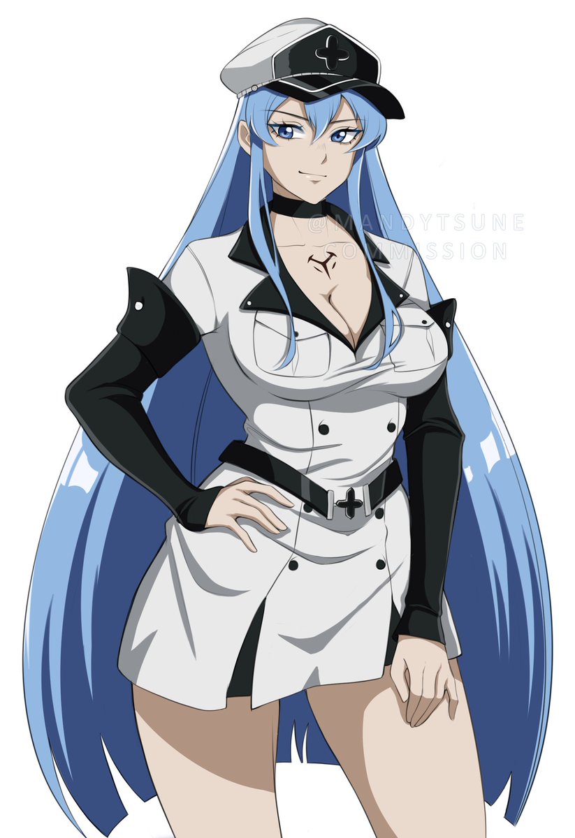 Akame ga Kill - Esdeath - Akame - Pin