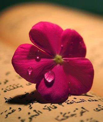 “Onun sanatı varlığın nakışında,
Onun şefkati ananın bakışında

Onun rahmeti suyun akışında
Suyu pınardan
gölden mi sandın...” 

💕Allah Azze ve Celle💕

#Cuma mız aşk ola 💕