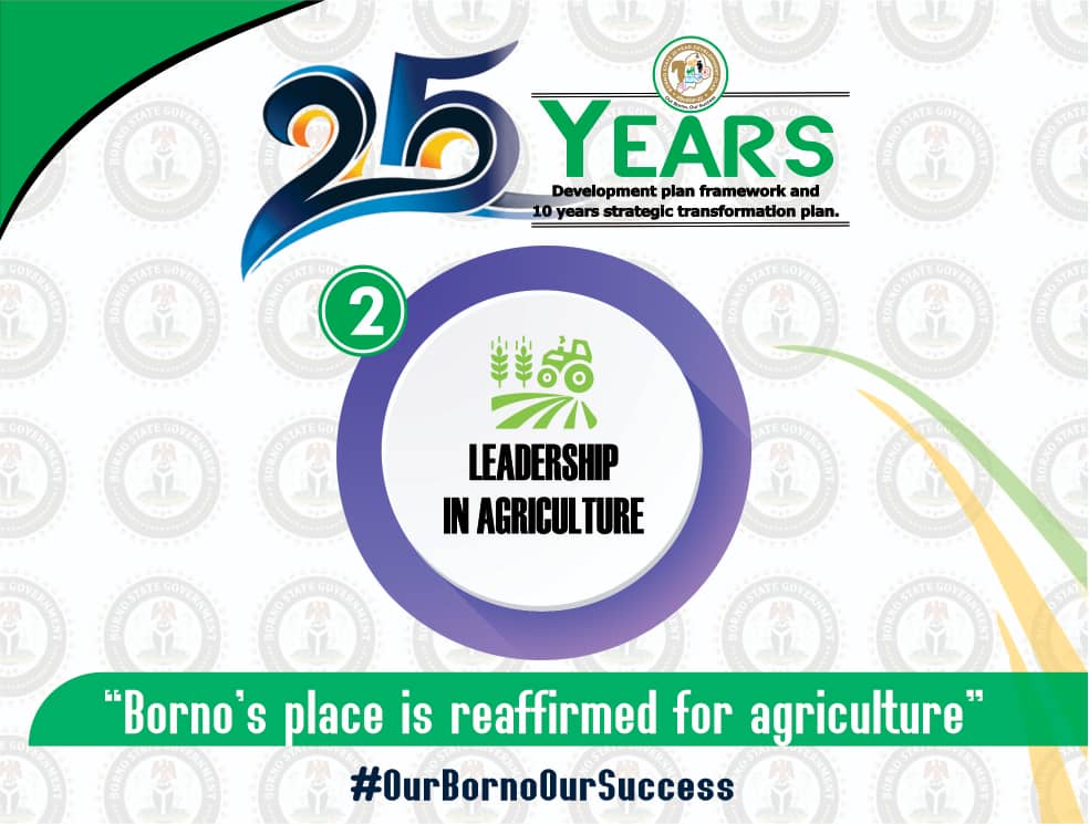 #OurBornoOurSuccess