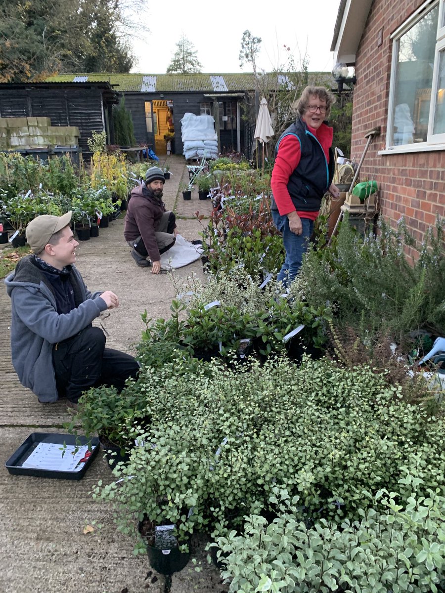 Aaron, Philip & Julia having ‘fun’ sorting & labelling delivery of East Anglian grown shrubs which arrived today