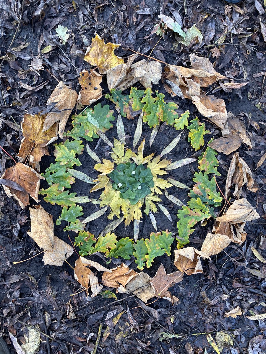 ScoutedChris's tweet image. Leaf Mandalas today with Ackworth Howard CofE primary #ForestSchools #Autumnal #LeafID #Creative