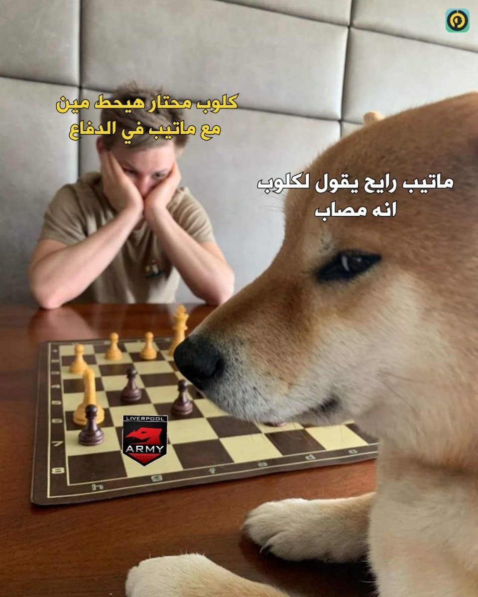 arch_waled's tweet photo. @mo_alaa13 قلبي عندك يا سطي 😂😂 https://t.co/T74T0vawbU