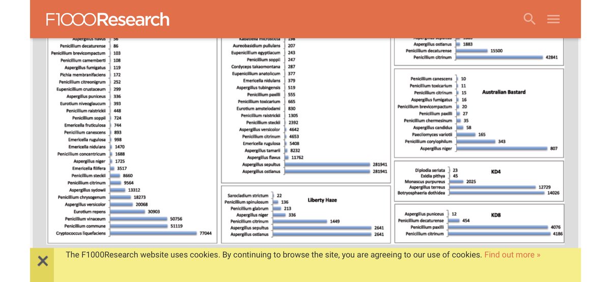 Cannabis microbiomes are relevant to the mask debate as this is the study of microbes you might inhale and thus we are particularly sensitized to fungi that can cause aspergillosis or fusariosis.Microbes that synthesize mycotoxins are important as well.