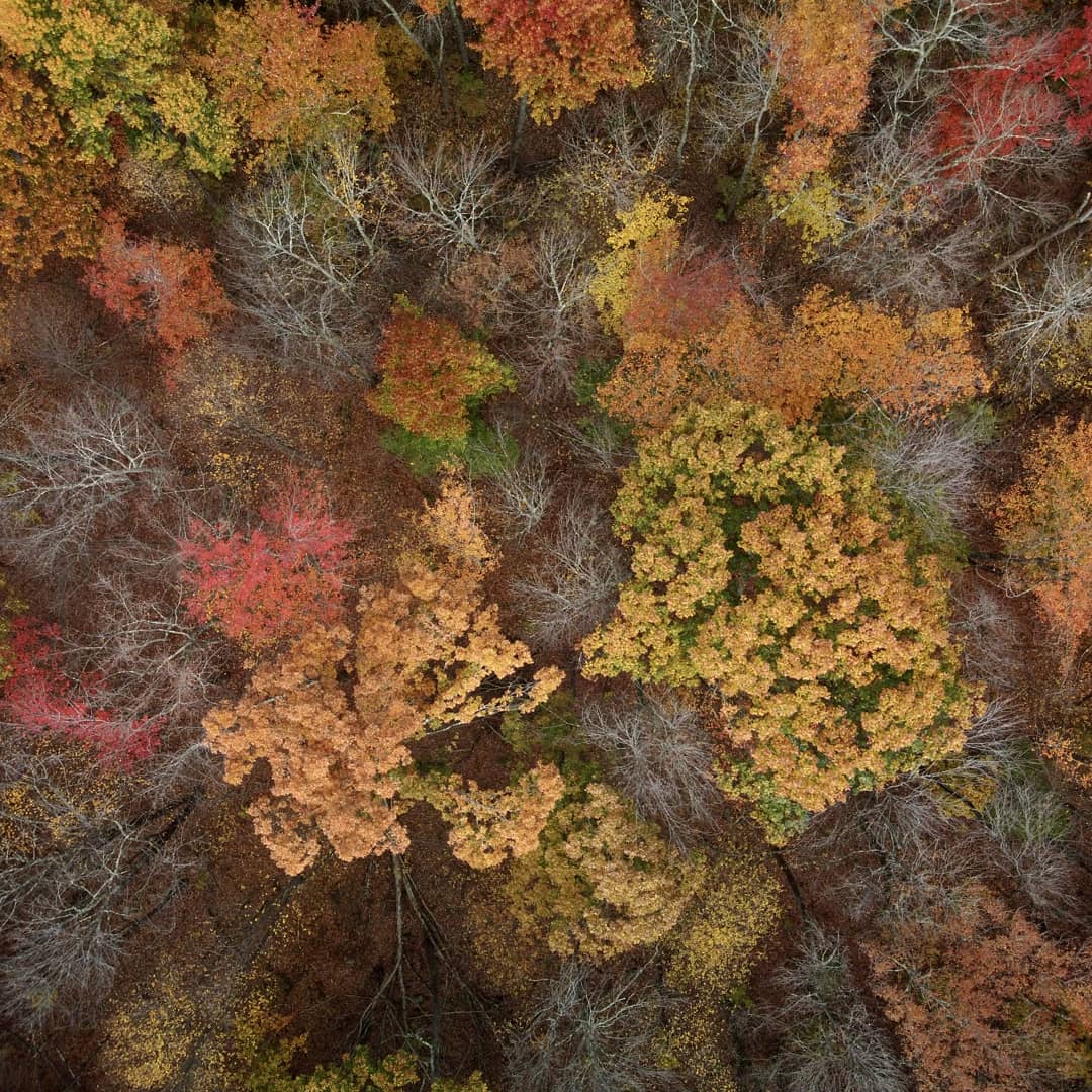 Boxborough Conservation Trust tweet media