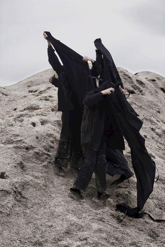 Lily Evans tweet media