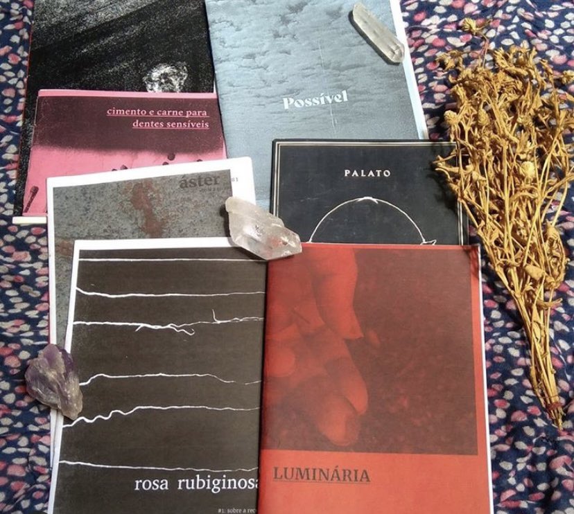 Confiram nosso sorteio de zines publicadas pela Alpaca Press no instagram.com/r.rubiginosa
