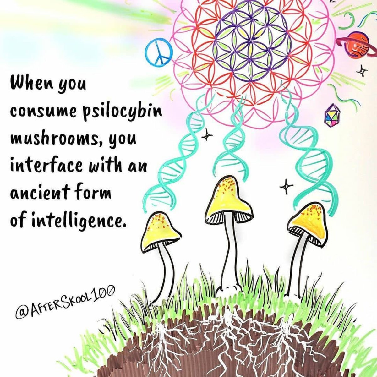 Smart_Drugz's tweet photo. “#Psychedelics are illegal not because a loving government is concerned that you may jump out of a third story window. Psychedelics are illegal because they dissolve opinion structures and culturally laid down models of behaviour and information processing.” #terencemckenna https://t.co/DfBz6JRy1Z