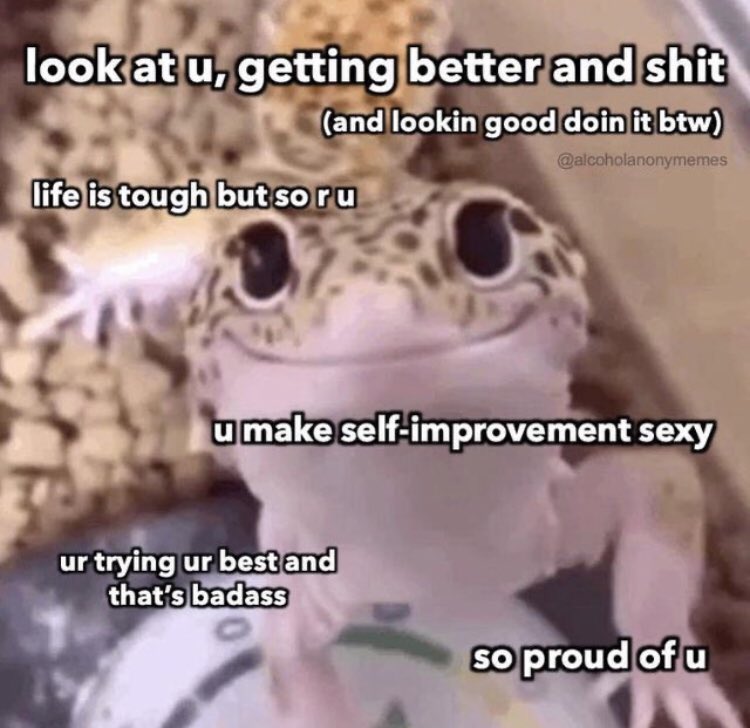 RespectfulMemes's tweet photo. https://t.co/gmKfUJvhog