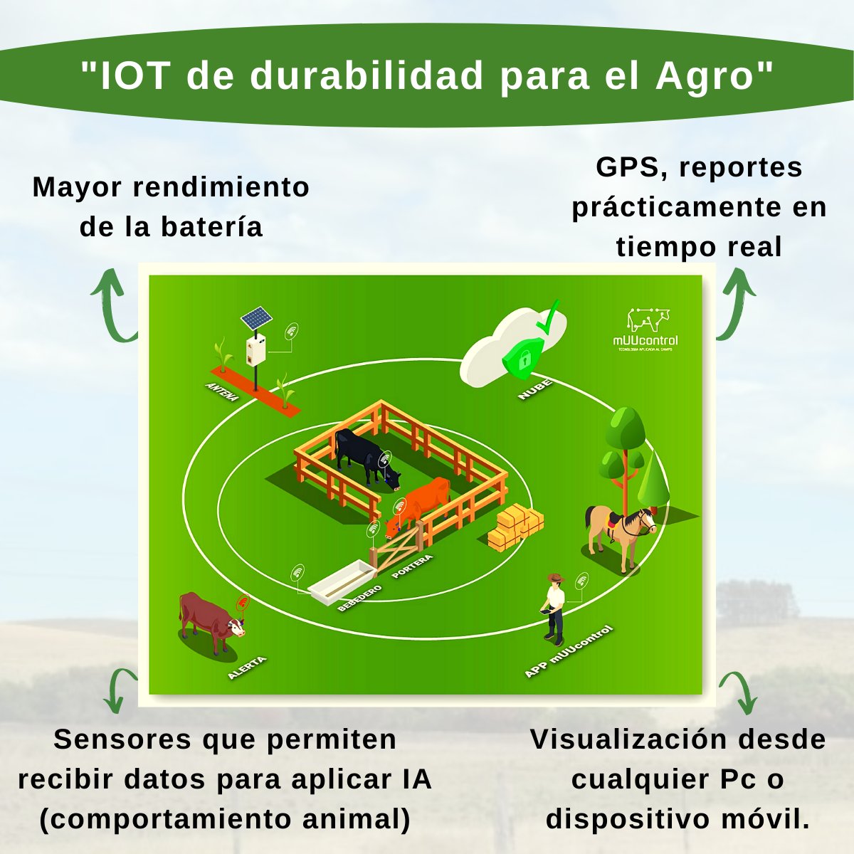 muucontrol1's tweet photo. IoT - Internet de las Cosas aplicado al sector ganadero -

 mUUcontrol está siendo pionero con esta innovación con un proyecto para el agro uruguayo.

👉Más info 📲2900 8192
https://t.co/fEeICTbST1

Compartenos en tus redes sociales con el #muucontroluy https://t.co/4eLUG2Sdjr