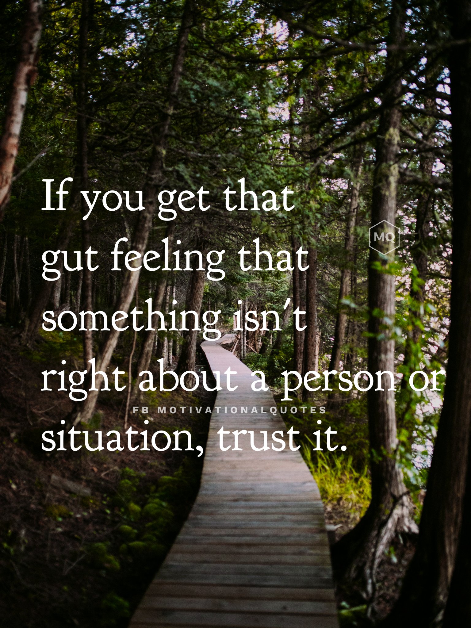 Gut Feelingand Quotes