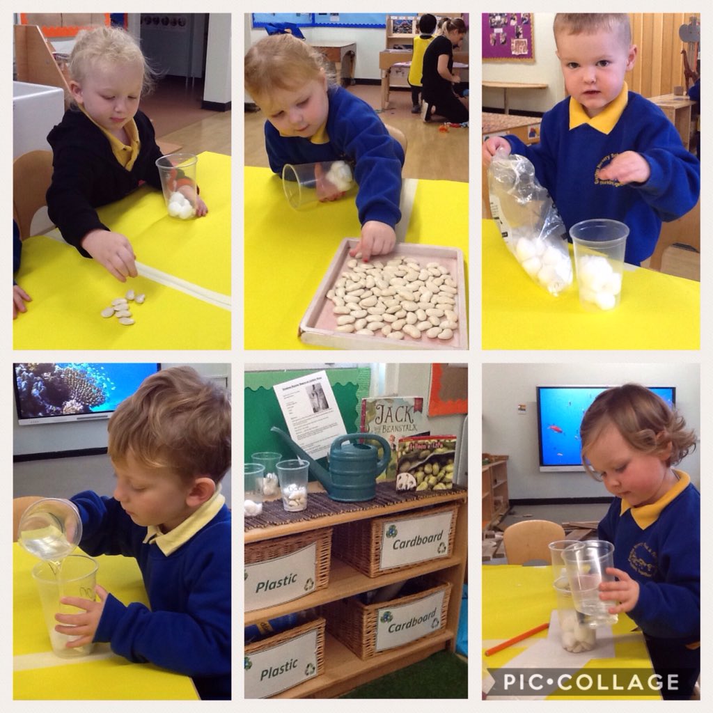 EvertonNursery's tweet image. Cresswell 1 and 2 displayed such interest in the story Jack and the Beanstalk that we decided to plant our very own beanstalks! Cresswell are excited to measure the beanstalks growth and give them all the sunlight and water they need to grow. #understandingtheworld #readingeyfs
