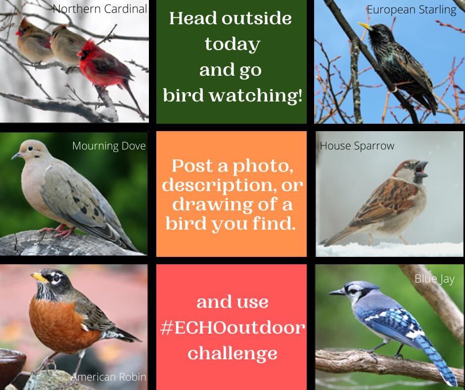 Louisville Parks and Recreation tweet media