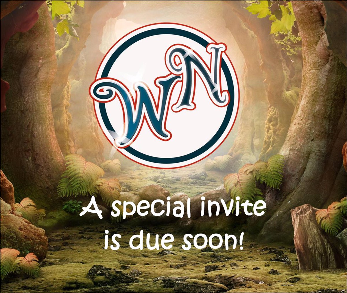 Wonder Nights (@nightswonder) on Twitter photo 