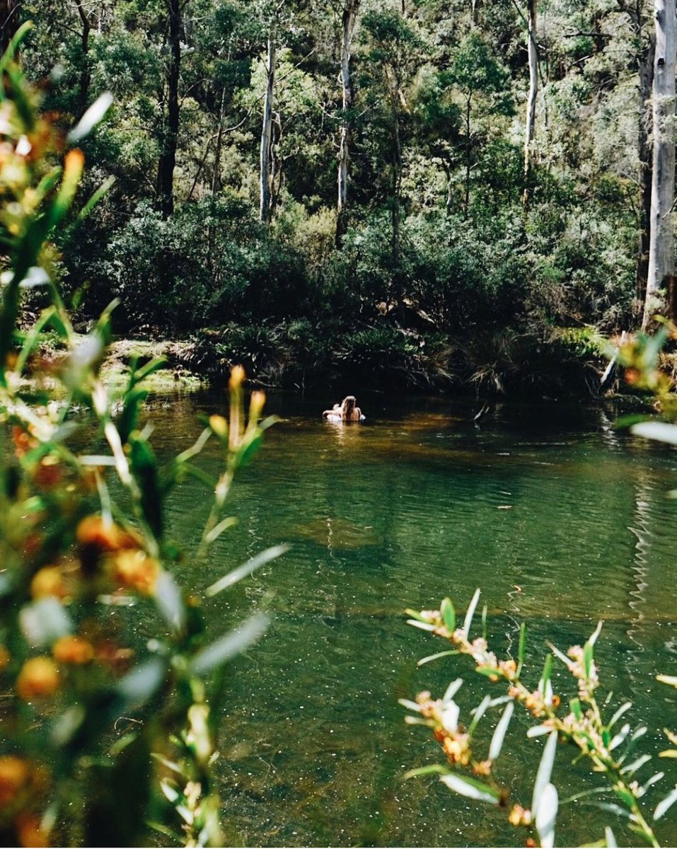 sofranksocial's tweet photo. The weekend is the perfect opportunity to find your own hidden gem.
Thanks to Instagrammer @kirra__eldridge for sharing one of her favourite finds with #SoFankSocial
#CBRregion #ACTparks https://t.co/XiQplhYnzD