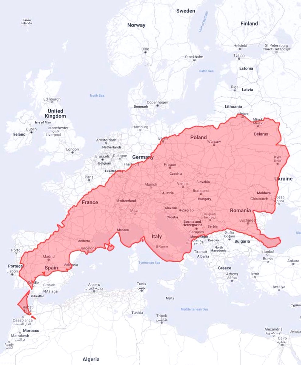 Agustin Mario Gimenez tweet media