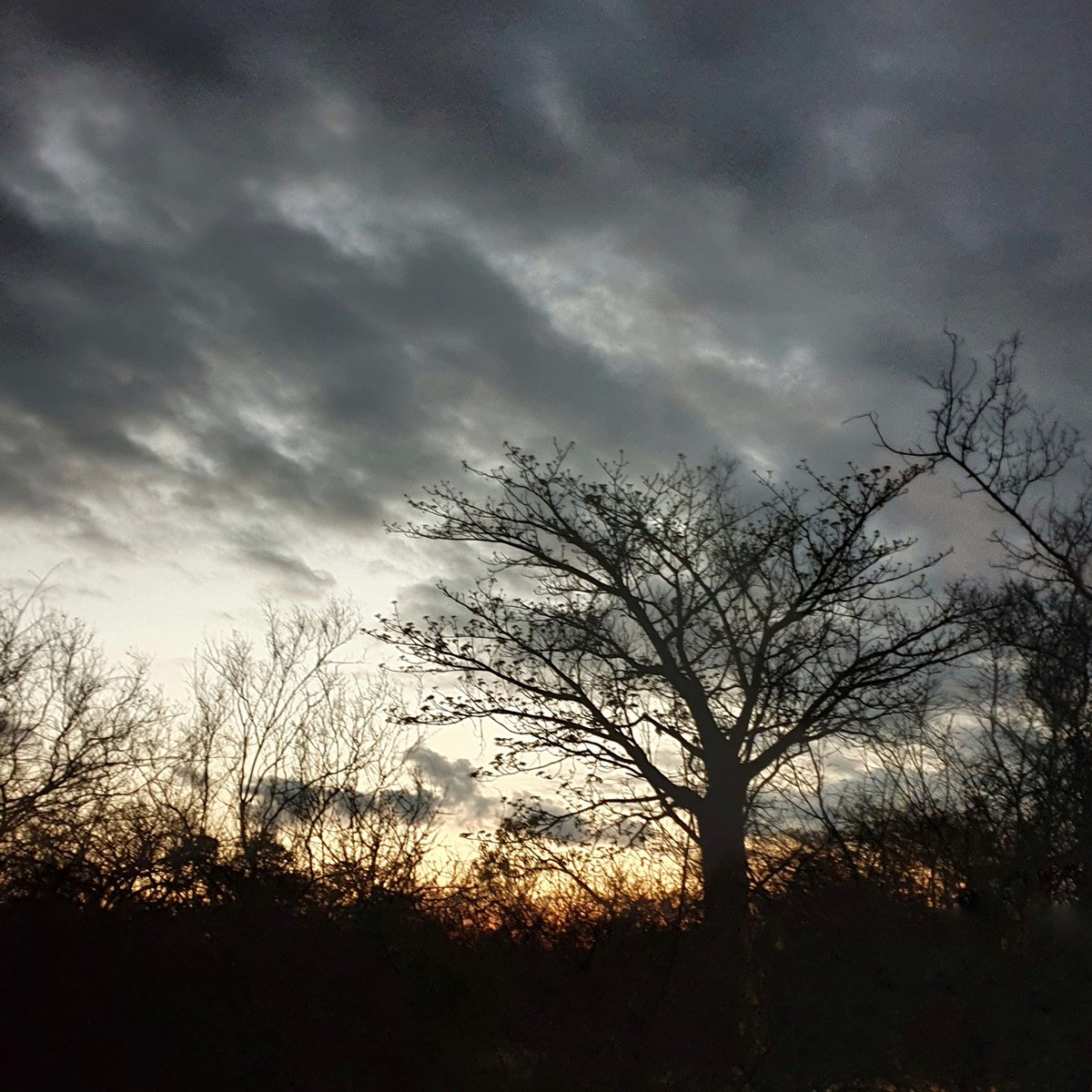 TFPD_SA's tweet photo. Waiting for the summer rains at Awelani Lodge #GoLimpopo https://t.co/pxy96rhetB https://t.co/RJ5ZKAzjcG