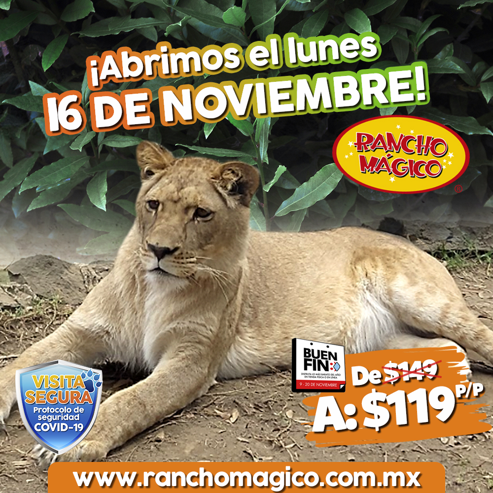 ¡Un día extra de diversión! 🙌

Aprovecha el puente y ven a divertirte con tu familia con espacios al aire libre donde podrás estar en contacto con la naturaleza sin salir de la CDMX y conocer más de 1,600 animales. 

ranchomagico.com.mx/boletos/paquet…