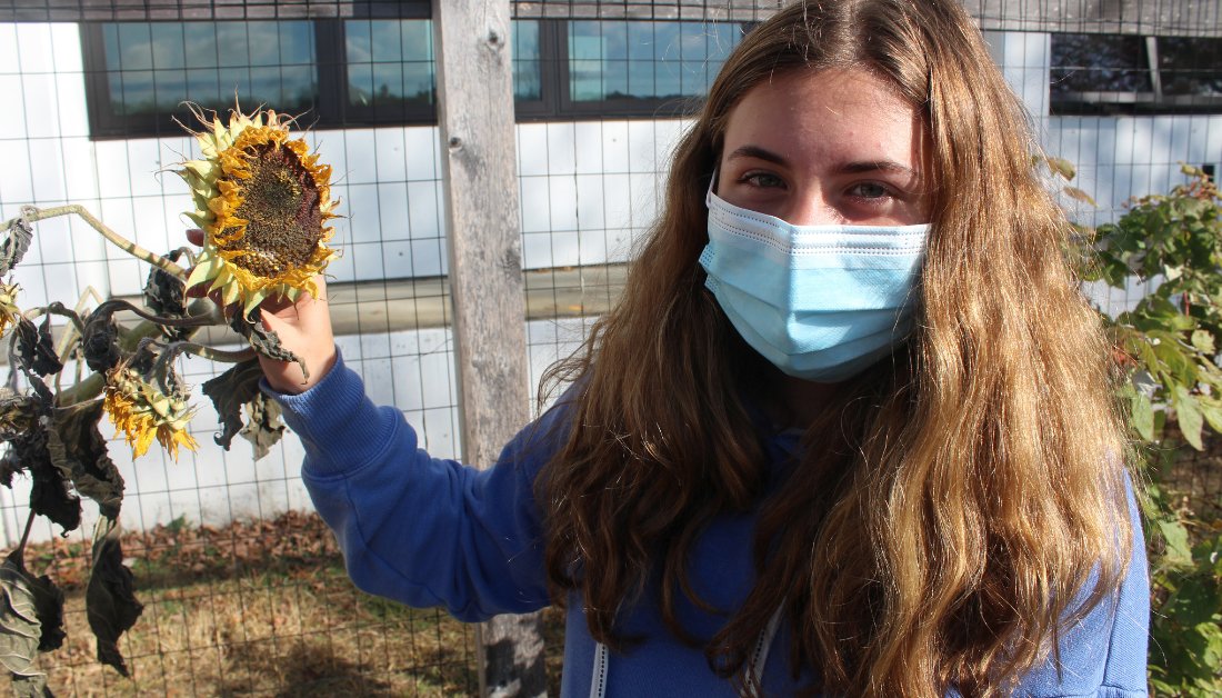 KLSchools's tweet photo. Two days ago, in another weather system, Melissa Brady's Family and Consumer Science students enjoyed a scavenger hunt in the #JJMS garden. The culinary and experiential clues required them to look closely at vines and crush leaves to release aromas. 
#KLActiveLearning https://t.co/0pZlXXj40K