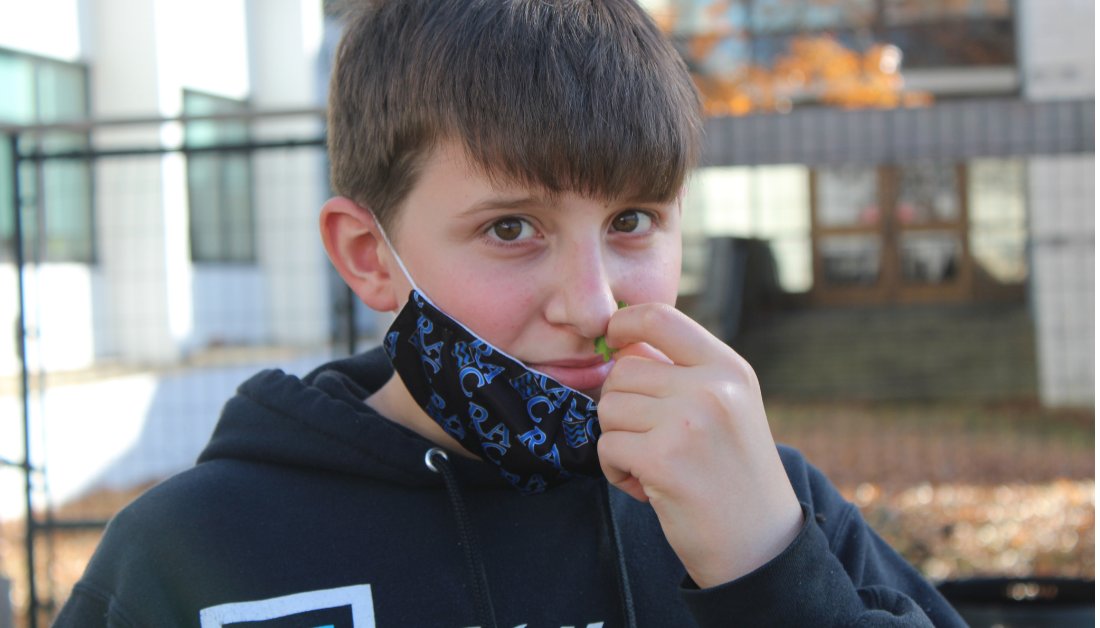 KLSchools's tweet photo. Two days ago, in another weather system, Melissa Brady's Family and Consumer Science students enjoyed a scavenger hunt in the #JJMS garden. The culinary and experiential clues required them to look closely at vines and crush leaves to release aromas. 
#KLActiveLearning https://t.co/0pZlXXj40K