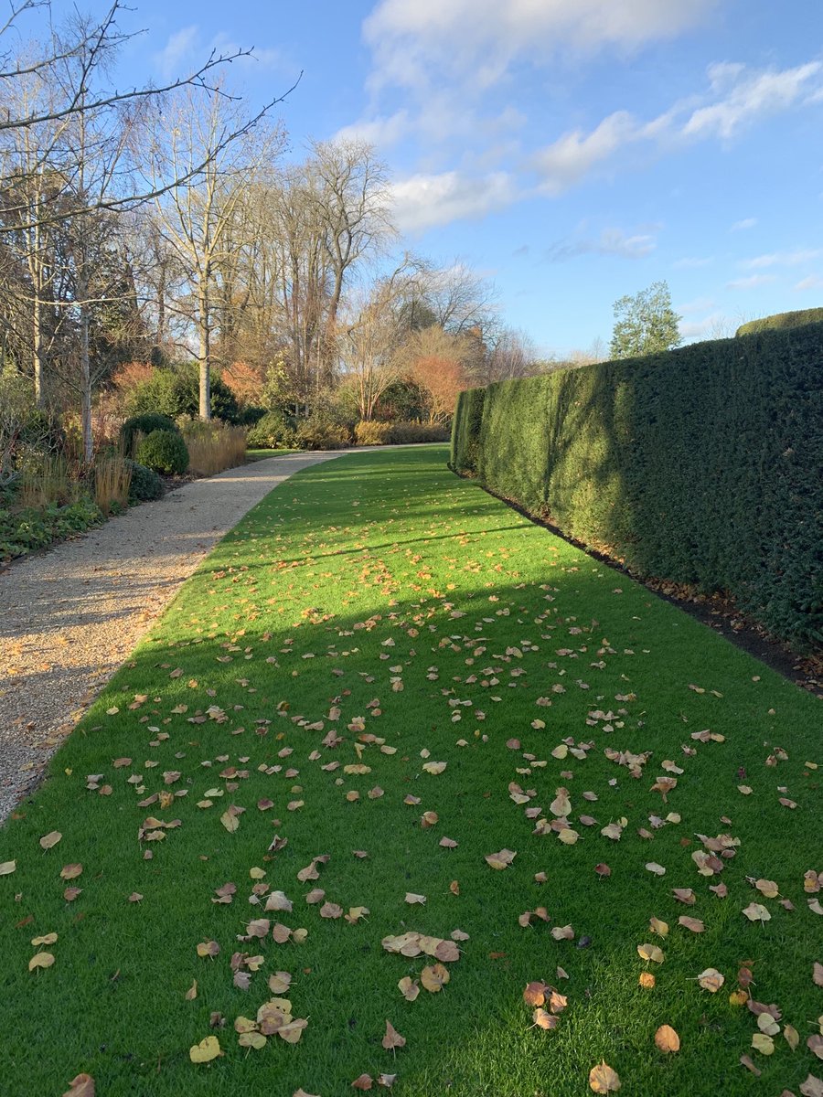 dhedges_gower's tweet photo. Just some nice pictures for a November #lawn....#norye https://t.co/D75Pqt1sXd
