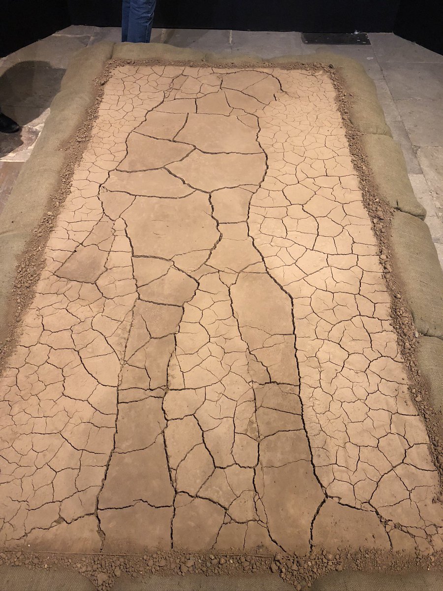 The mud sculpture, exhibited in the cathedral, had dormant poppy seeds within. The mud was broken up and sold with instructions on how to ‘rebirth’ the flowers.