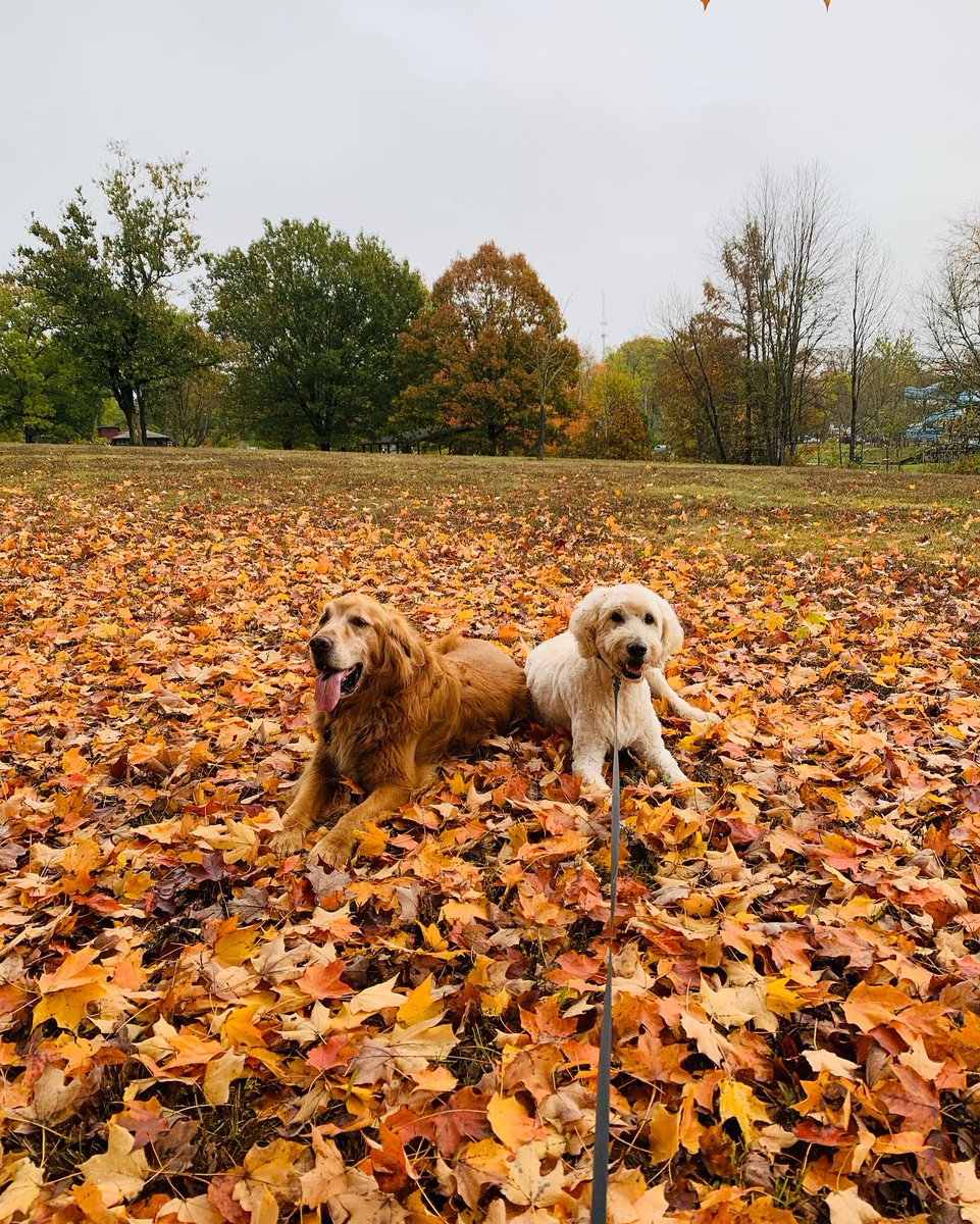 VisitBtown's tweet photo. Congratulations to our #btownfall winners! ๐ Thank you to everyone who participated! Continue to share your photos with us for your chance to be featured.
๐ธ: pizzaezzo (IG), Sara M., & Stephanie L. https://t.co/QX0m5GDwkM