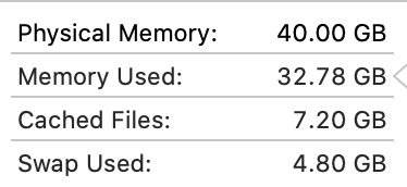 smwertheimer's tweet photo. @bzamayo And here I thought I had upgraded my iMac to enough RAM. https://t.co/GzRgDBZMwR