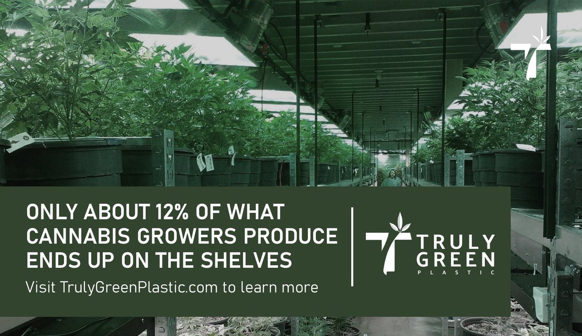 TGPlastic's tweet photo. #DYK only about 12% of what #CannabisGrowers produce lands on the shelves? #TGP makes it possible to monetize the other 88% as something greater than just waste!

Learn more: https://t.co/eJCb3fMdog

#CannabisNews #Sustantibility #PlasticFree #EnvironmentalInnovation #LdnOnt https://t.co/AaqSg7OqAB