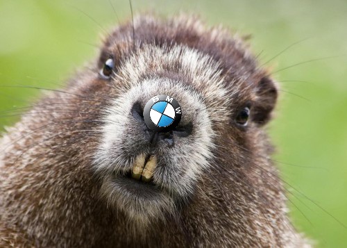 stevowild's tweet photo. @denialvibes Beaver Motor Works https://t.co/rfErBkkpn3