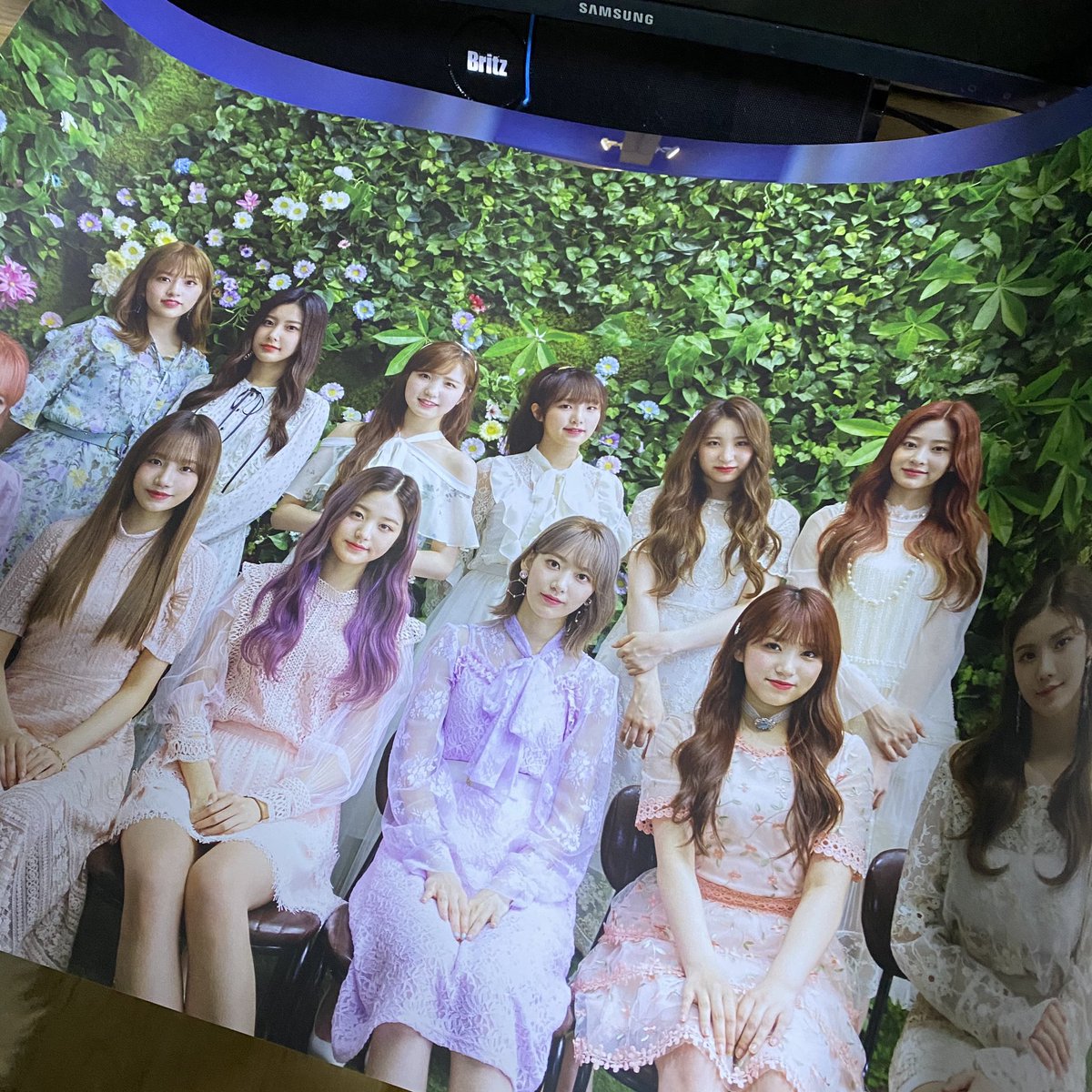 telllming's tweet photo. 아이즈원 아이즈온미 블루레이 키트 단체 포스터 양도
각 0.3
일괄 시 0.5
운미포
하자❌지관통🛑 https://t.co/JuROjKlg4N