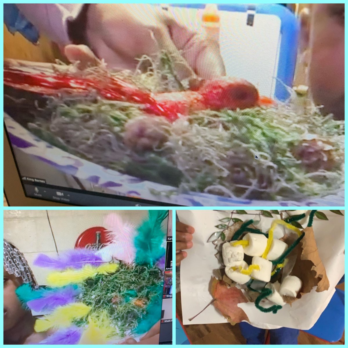 Virtual PreK- After reading, “Who Lives in Trees?”🌲, children created bird’s nests 🦜 So much fun learning and I love the parent involvement ❤️ <a href="/BCECC_DAYMAC/">Teddy Bear Country</a>