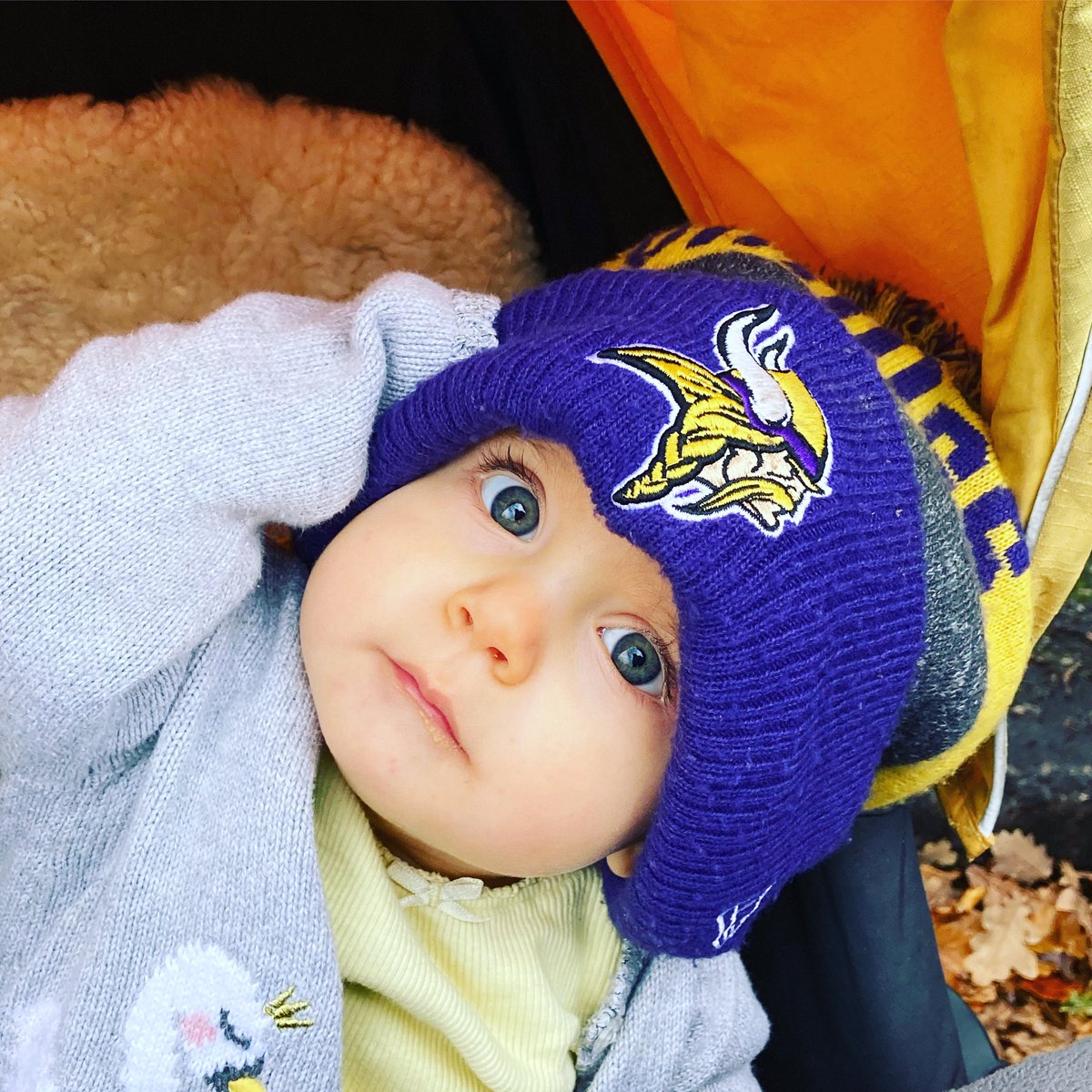 S_R0BINS0N's tweet photo. @Vikings we have ourselves a little #skoldier here in the U.K. 🥰💜💛💜💛 starting her young!  @athielen19 @KyleRudolph82 @dalvincook @KirkCousins8 @NFL @NFLUK https://t.co/t0RmSfjQs5