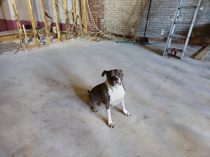 Watch Holi Hurricane's leaked NSFW photo on TwXstars