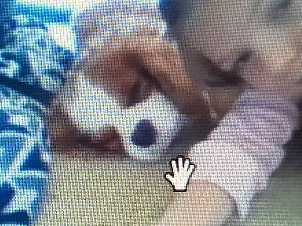 MrsKoets's tweet image. Wonderful afternoon with 1st graders reading to their furry friends!#GLCSrichland #glcsread20