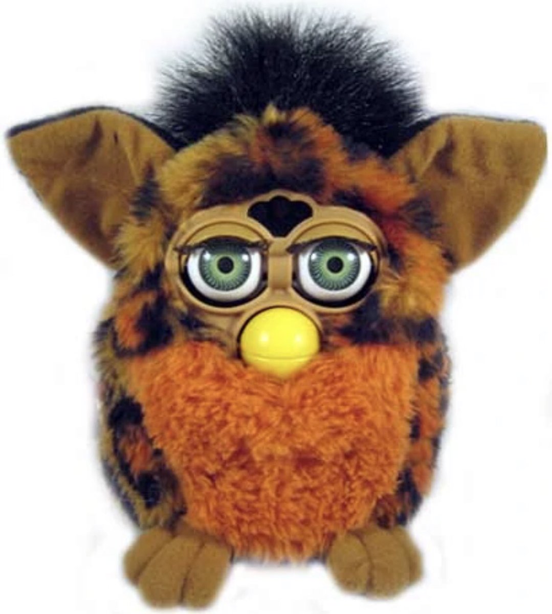 samatoki, jyuto, rio