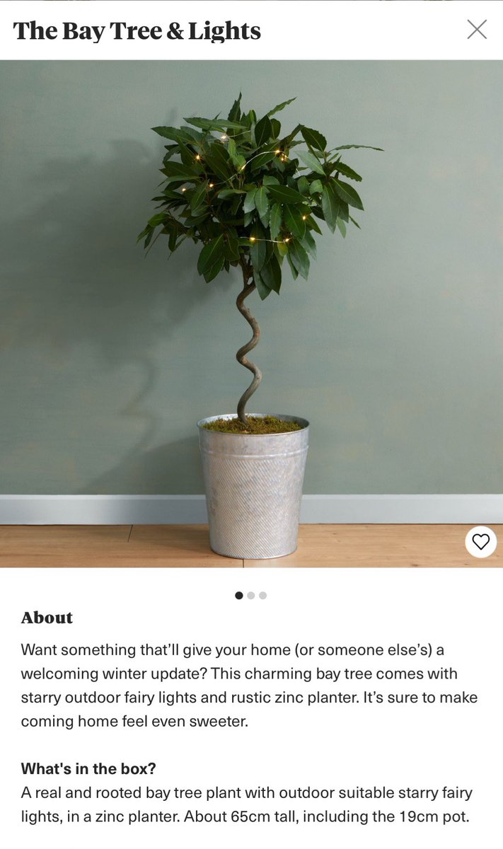 StanleyTiger's tweet photo. We bought a bay tree from @BloomandWild &amp; some bastard has stolen the lights off it in transit! How #Wrung is that 😳 https://t.co/E8EuzSIAt7