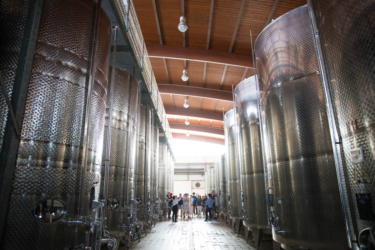 During your time to see exciting places and get amused with your colleagues, we make sure to show you what's behind the scenes. Here, at this winery, just a glimpse of where the magic happens! 🍷
#incentivetrips #Corporate