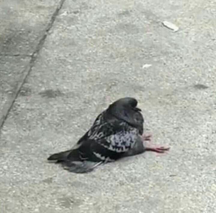 S0NR13 tweet media