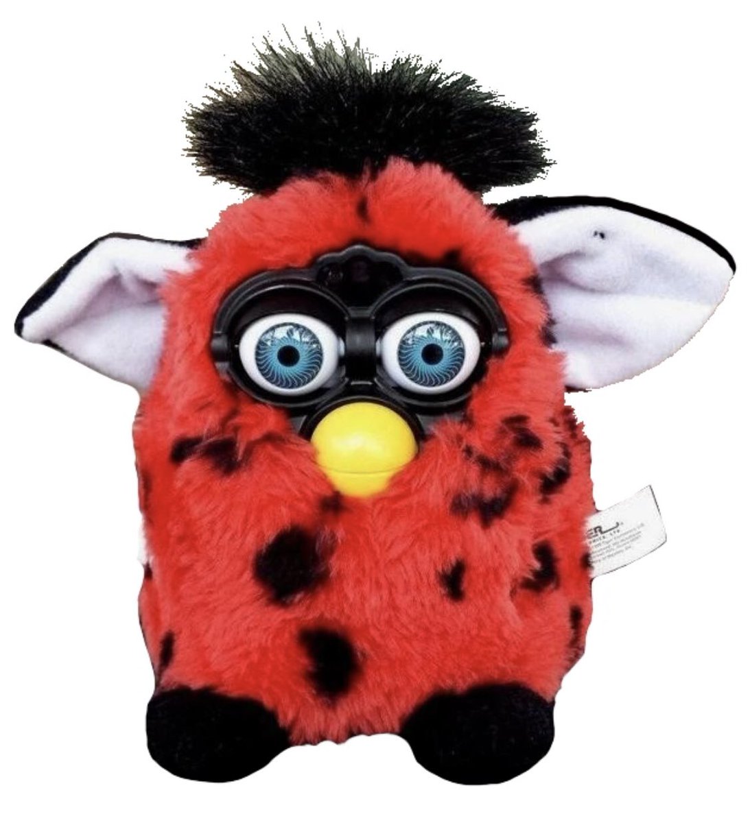 kuko, hitoya, jyushi