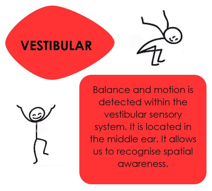 Learn more about the #sensorysystems #vestibular #sensory #sensoryintegration #OccupationalTherapy #paediatricoccupationaltherapy #sensoryprocessingdisorder