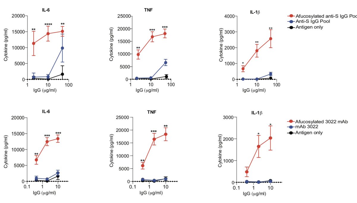  https://www.biorxiv.org/content/biorxiv/early/2020/05/18/2020.05.18.099507.full.pdfOne readout for the activity of afucosylated anti-CoV2 IgG1 is enhanced production of inflammatory cytokines after incubation of CoV2 immune complexes with primary monocytes (12/21).